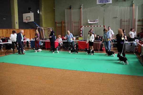 KV 2019-II, 19.10.2019, Rakovník